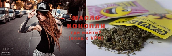 шишки Абаза