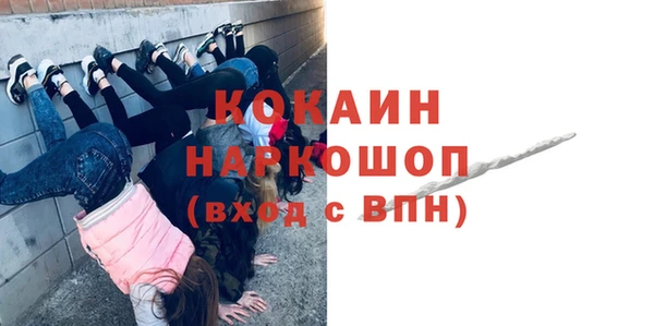 шишки Абаза
