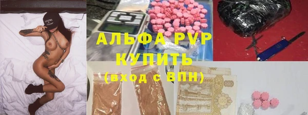 шишки Абаза