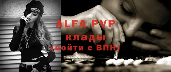 шишки Абаза