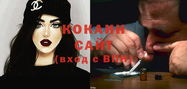 шишки Абаза