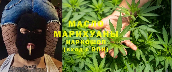 шишки Абаза