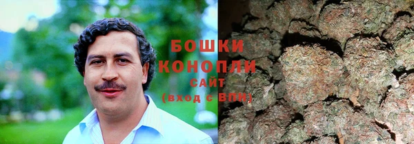шишки Абаза