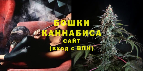 шишки Абаза