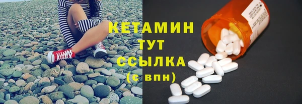 шишки Абаза