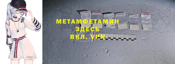 шишки Абаза
