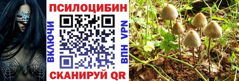 Галлюциногенные грибы Cubensis  kraken вход  Тында 